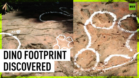 100-million-year-old dinosaur footprint accidentally discovered in restaurant