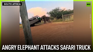 Angry elephant attacks safari truck