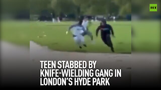 Teen stabbed by knife-wielding gang in London's Hyde Park