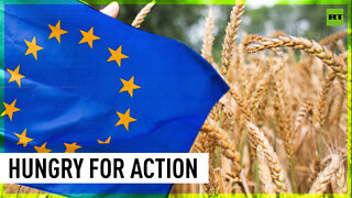 US & EU panic over potential food crisis despite causing famines in Middle East