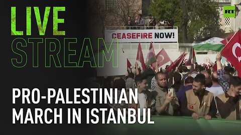Pro-Palestinian march takes place in Istanbul