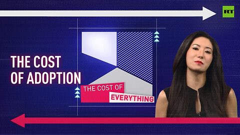 The Cost of Everything | The cost of adoption