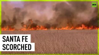 Fierce fires scorch large areas of grassland in Argentina