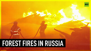 Forest fire blazes through Tyumen, Russia