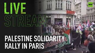 Palestine solidarity protest in Paris, France
