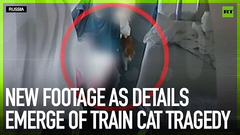 New footage as details emerge of train cat tragedy