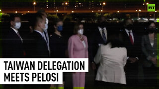 Taiwanese delegation meets US House Speaker Nancy Pelosi at the airport