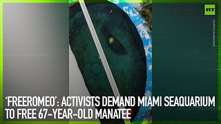 Activists demand Miami Seaquarium free 67-year-old manatee