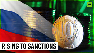 Russia is coping well with sanctions - IMF