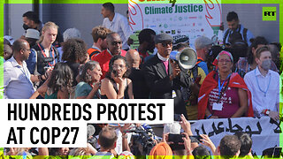 Climate activists protest at COP27 venue