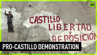 Castillo supporters protest against his removal from office