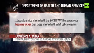 Fauci accused of deceit about US funding of bat research in Wuhan
