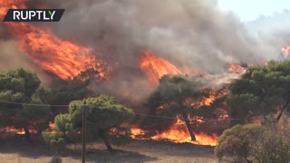 Wildfires ravage Greece’s Attica region