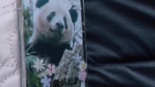 Panda Byes